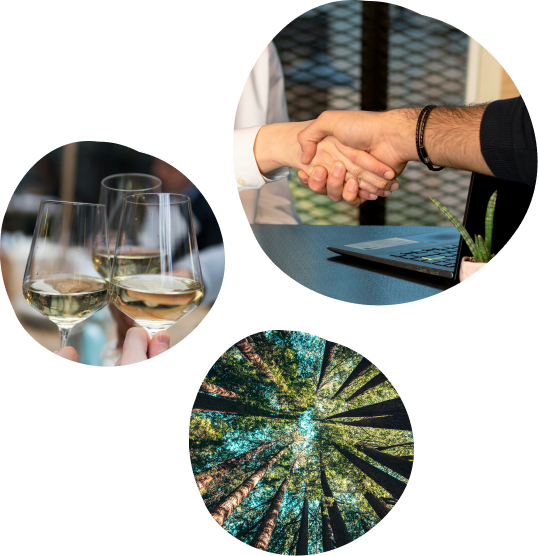 Image blobs 5 Brand partners